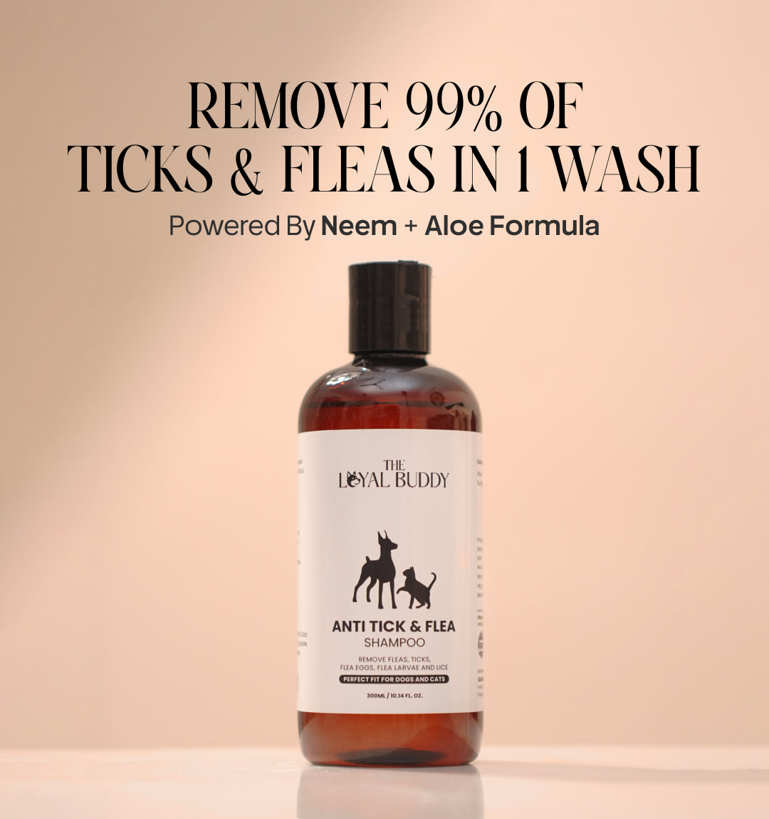 Anti Tick & Flea Shampoo