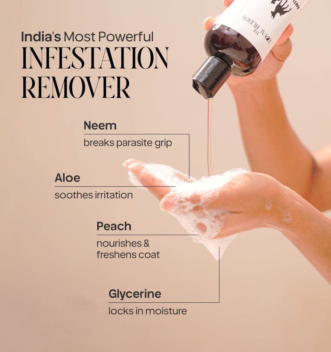 Anti Tick & Flea Shampoo