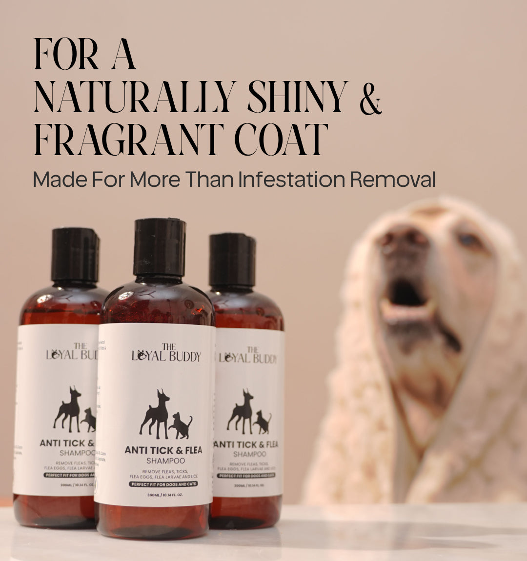 Anti Tick & Flea Shampoo