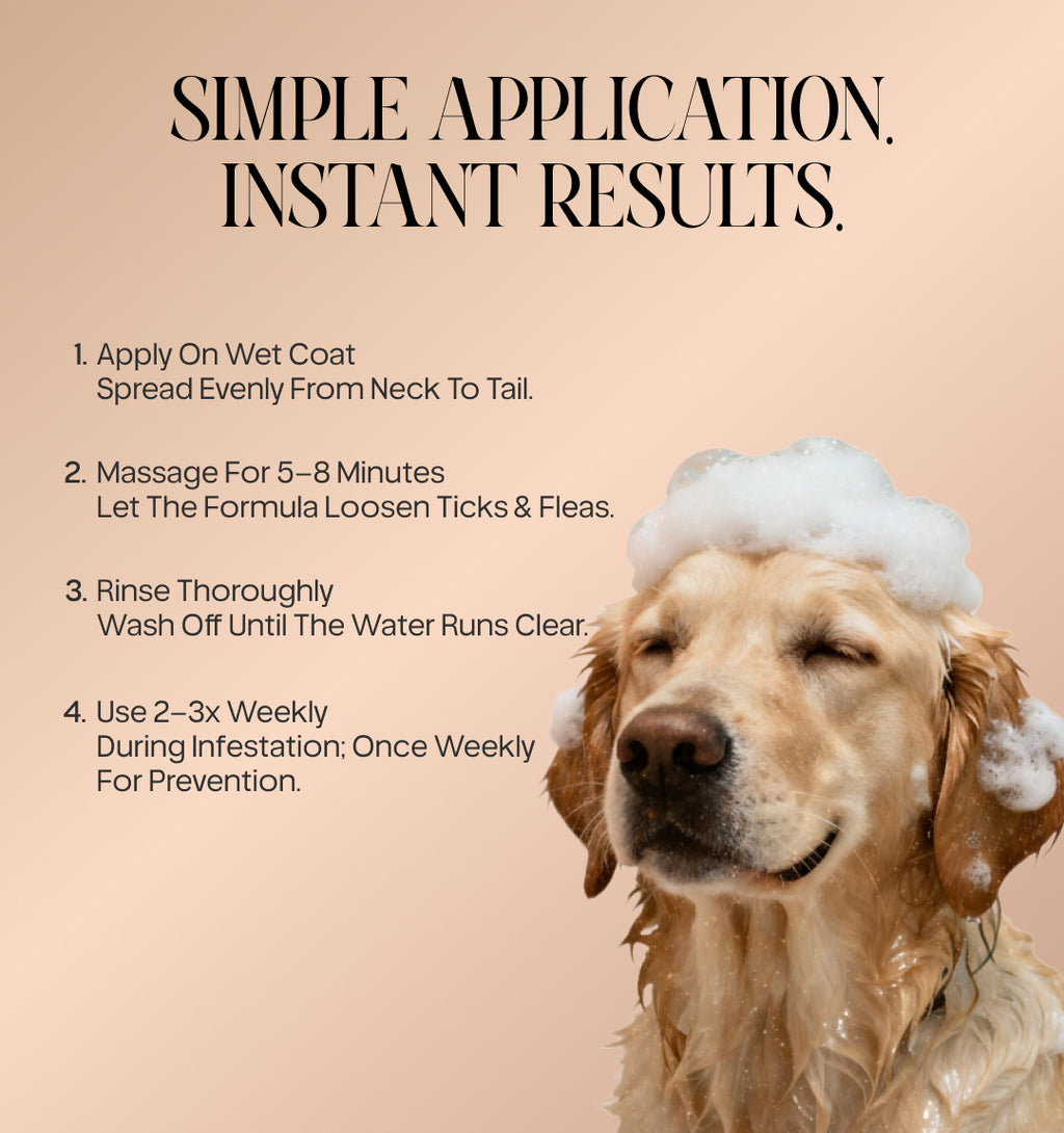 Anti Tick & Flea Shampoo