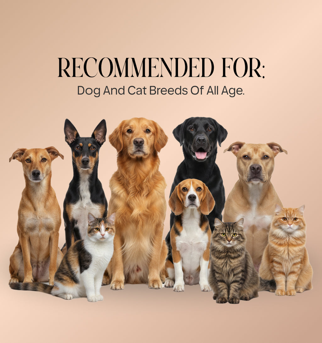 Anti Tick & Flea Shampoo